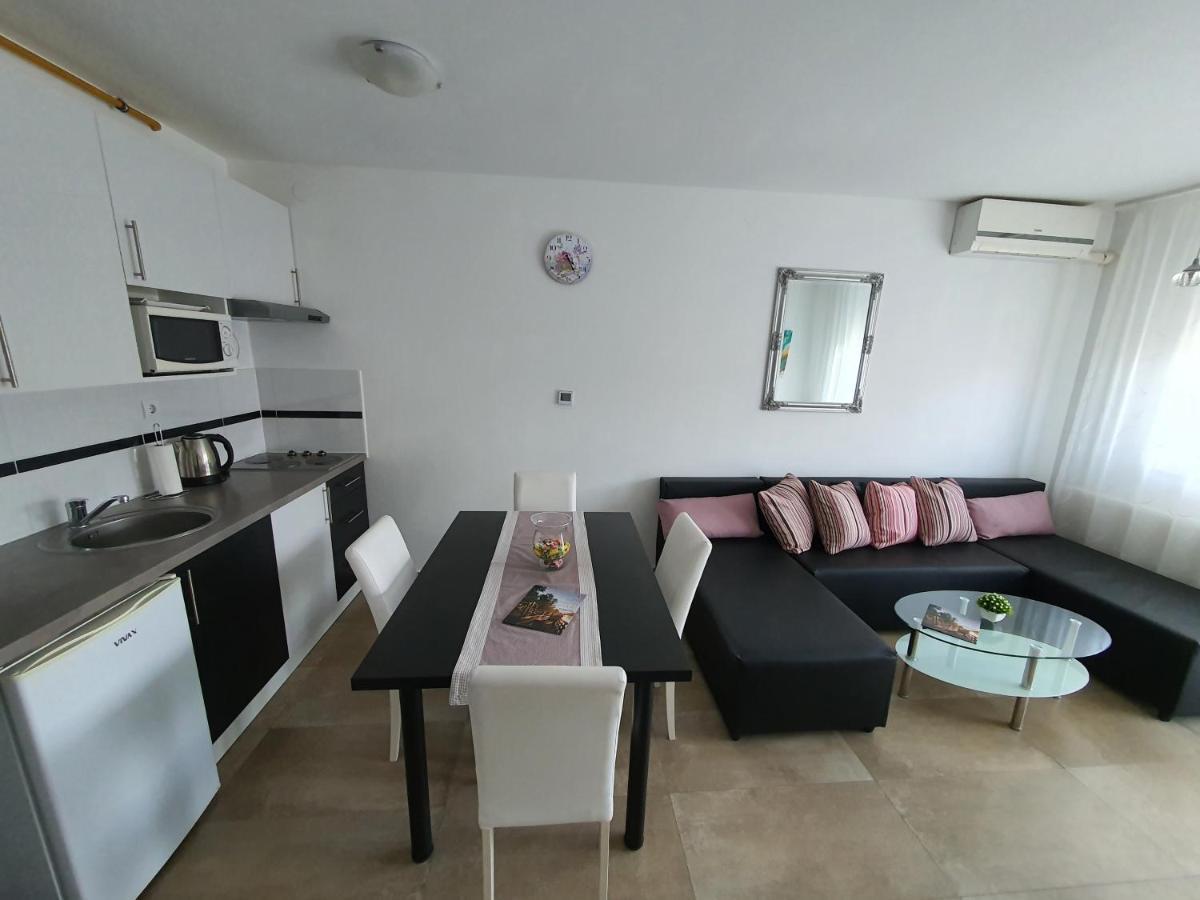 Apartment Vesna Toplice Sveti Martin Sveti Martin Na Muri Ngoại thất bức ảnh